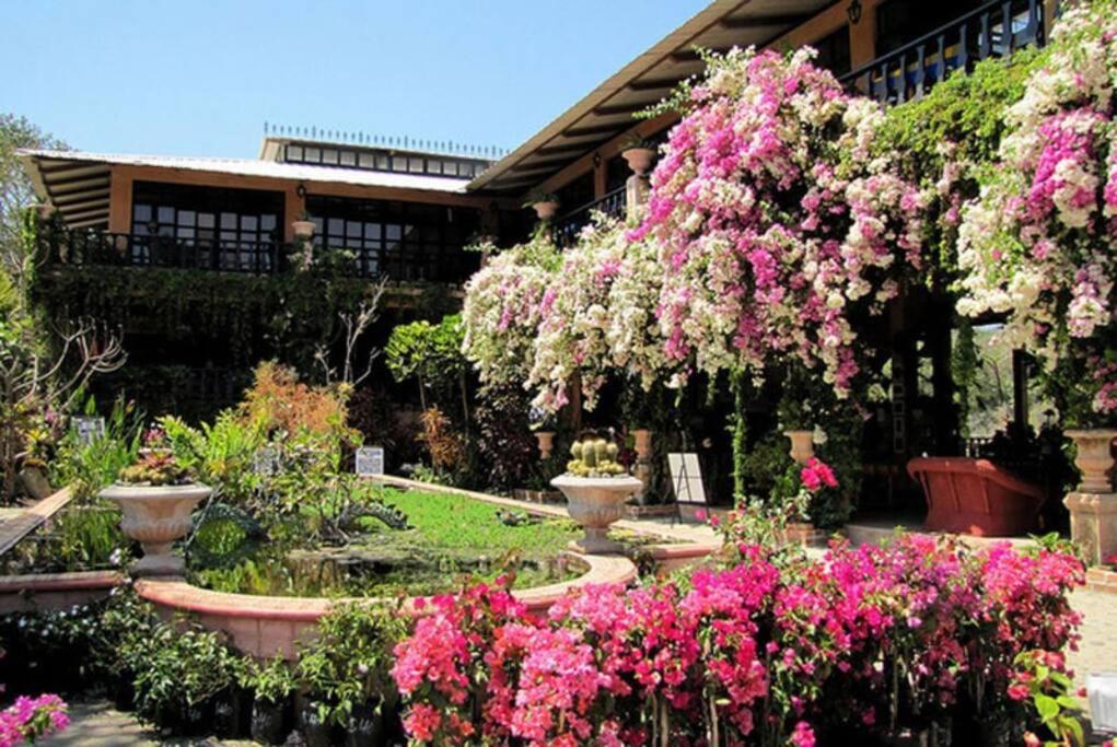 Amapas Oasis With Panoramic Views, Walk To Beach Puerto Vallarta Exterior foto