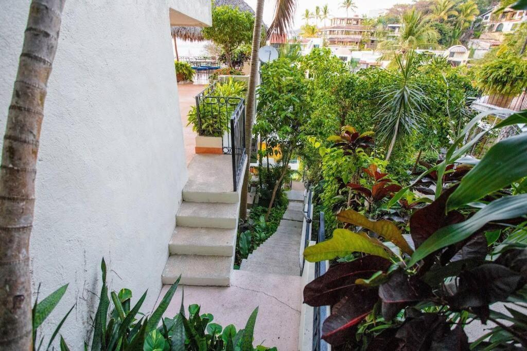 Amapas Oasis With Panoramic Views, Walk To Beach Puerto Vallarta Exterior foto